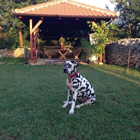 In Zadar With Balcony, Air Conditioning, Wifi, Washing Machine 3796-2 *