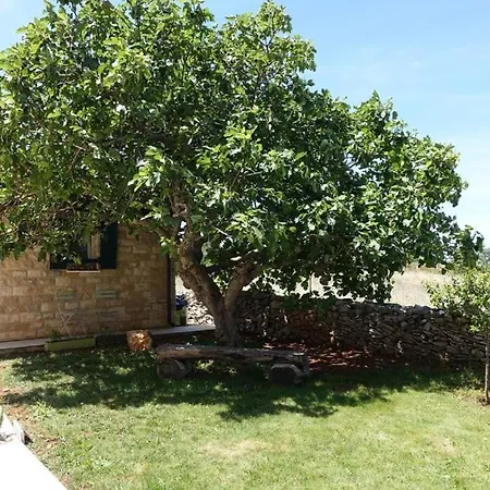 In Zadar With Balcony, Air Conditioning, Wifi, Washing Machine 3796-2 Apartment *